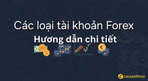 Các loại tài khoản Forex là gì – hình minh họa tổng quan thị trường ngoại hối