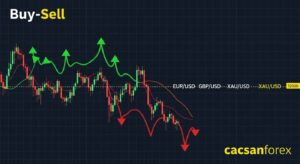 Cách thị trường Forex hoạt động thông qua sự biến động của tỷ giá tiền tệ