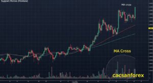 Chiến lược giao dịch Forex đơn giản nhưng hiệu quả cho người mới