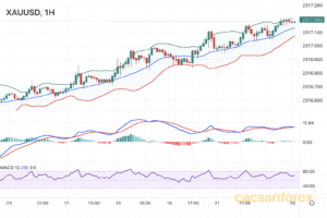 Biểu đồ MT5 sử dụng MA RSI MACD trong phân tích kỹ thuật